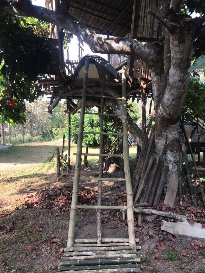 Amando_Tent Hotel Phayao Exterior foto