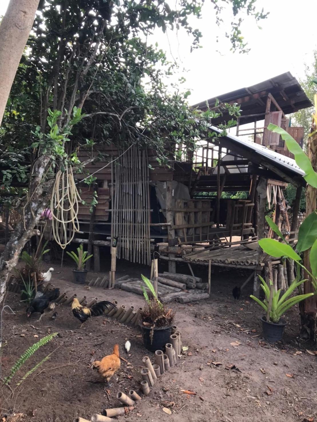 Amando_Tent Hotel Phayao Exterior foto